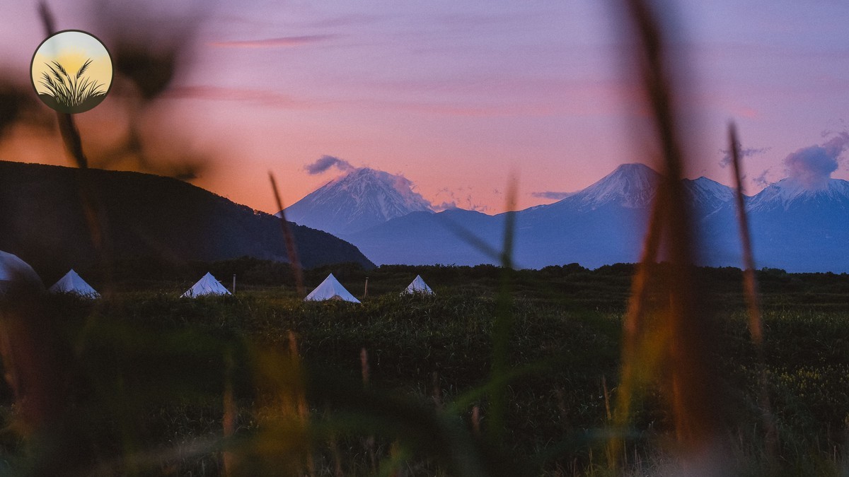 Charging Camera Batteries on Safari Camps: What to Know