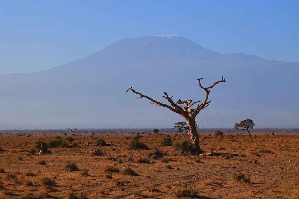 Grand Kenya Plains Safari
