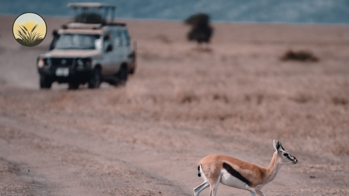 Photographic Safari Vehicle Kenya: What Makes One Good? - photo 1