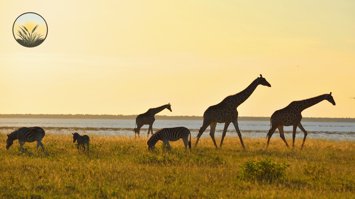 Vow Renewal Safari Kenya: Anniversary Planning Guide - photo 1
