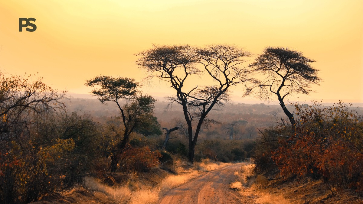 Altitude Sickness on a Mount Kenya Safari: The Real Risk - photo 1