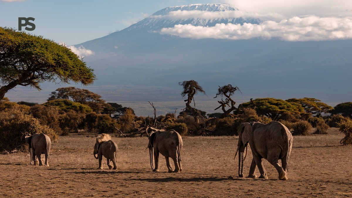 Amboseli Dry Season Dust Conditions Romanian Speakers