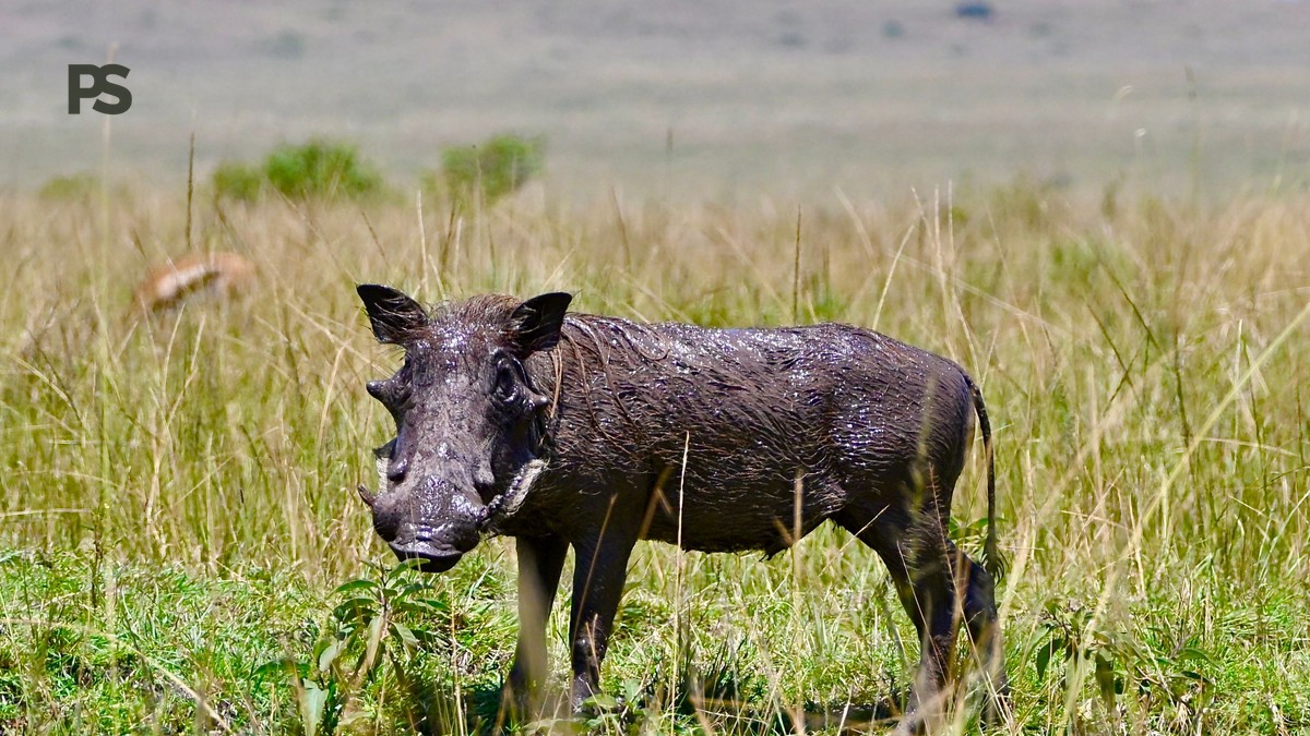 Best Second Kenya Safari Destinations After the Mara - photo 2