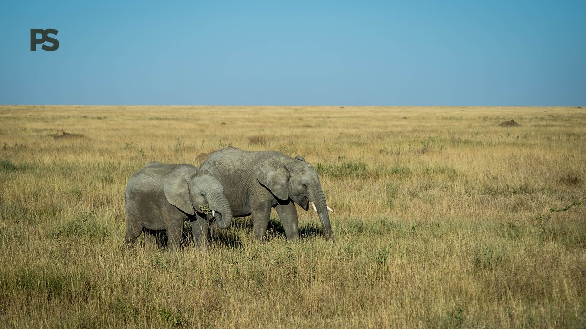 Best Time to See Kilimanjaro from Amboseli - photo 1