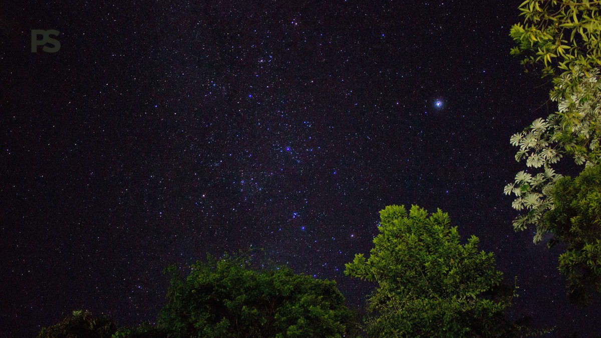 Can Children Join Night Drives in Kenya? Yes, Usually 8+ - photo 2