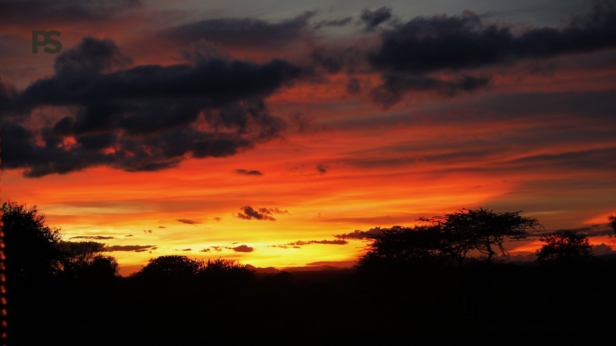 Can I Use M-Pesa on Safari? Payments and Cash Tips - photo 1