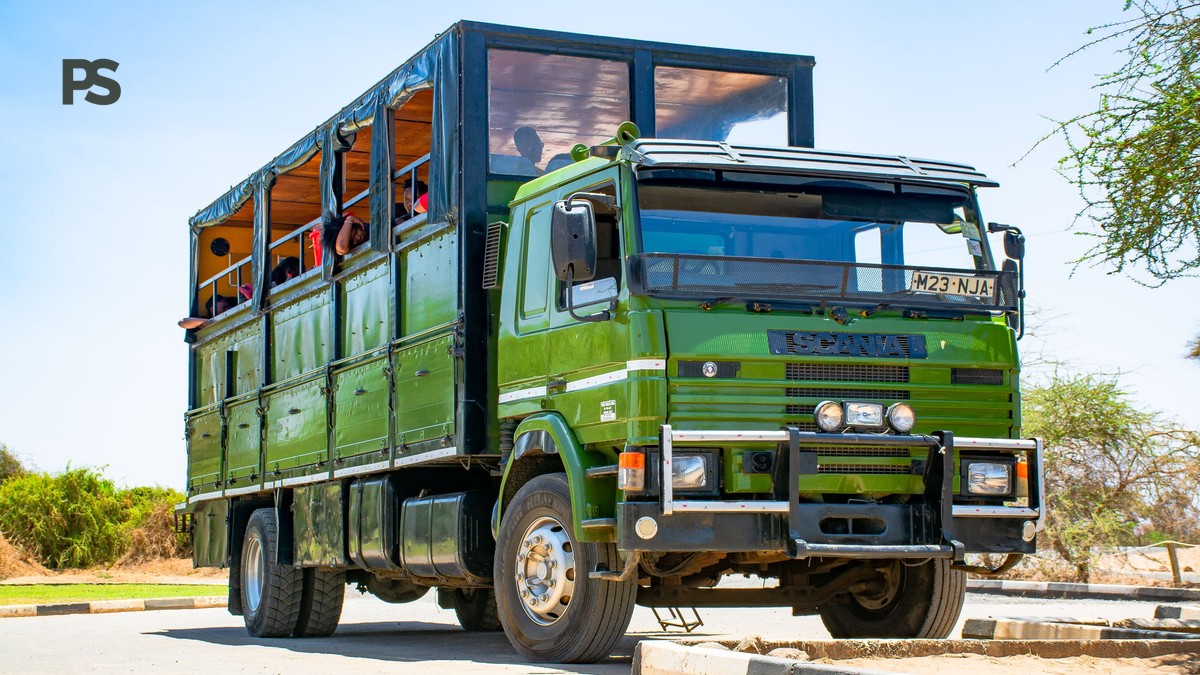 Can Safari Vehicles Use Child Seats: 5 Safety Checks - photo 2