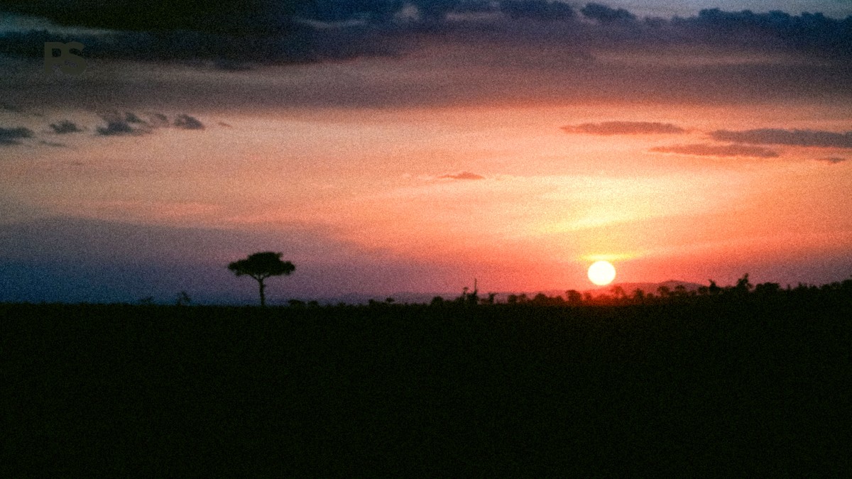 Can Solo Travelers Join Group Safaris: 5 Booking Checks - photo 1