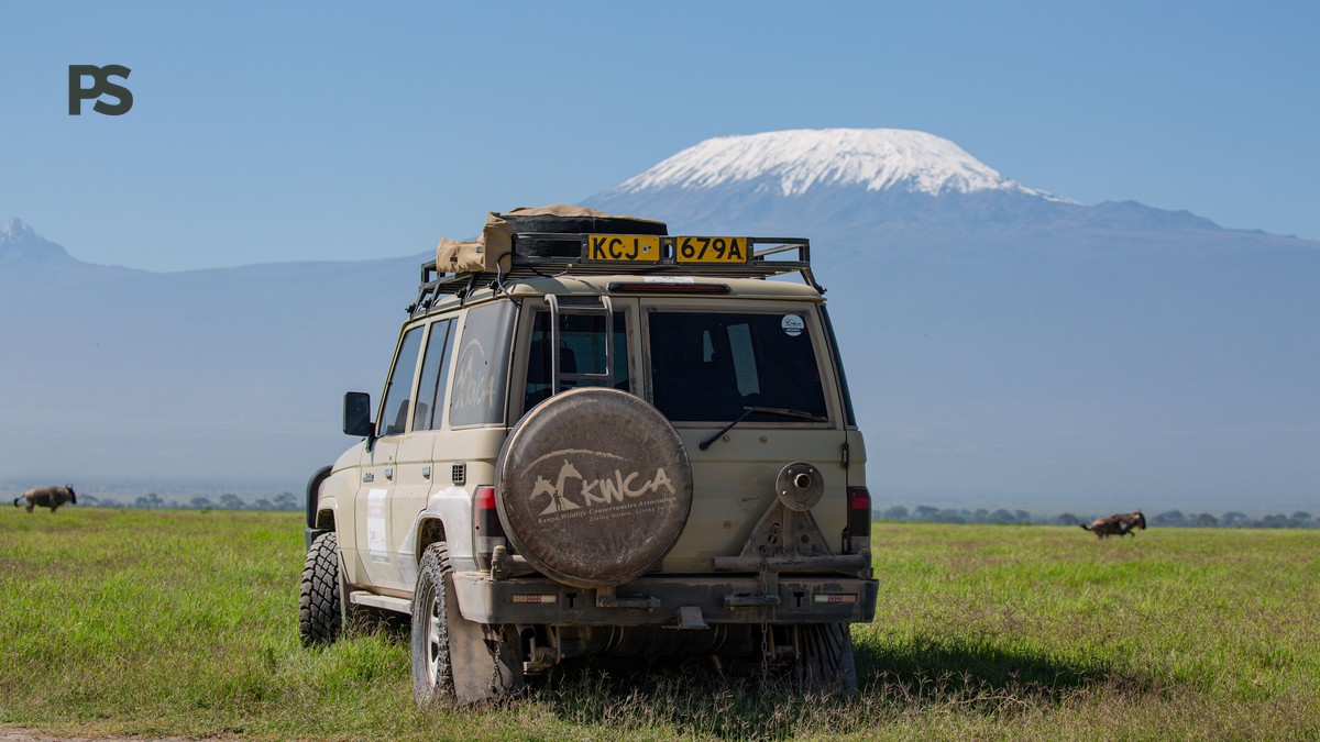 Can Solo Travelers Join Group Safaris: 5 Booking Checks - photo 2