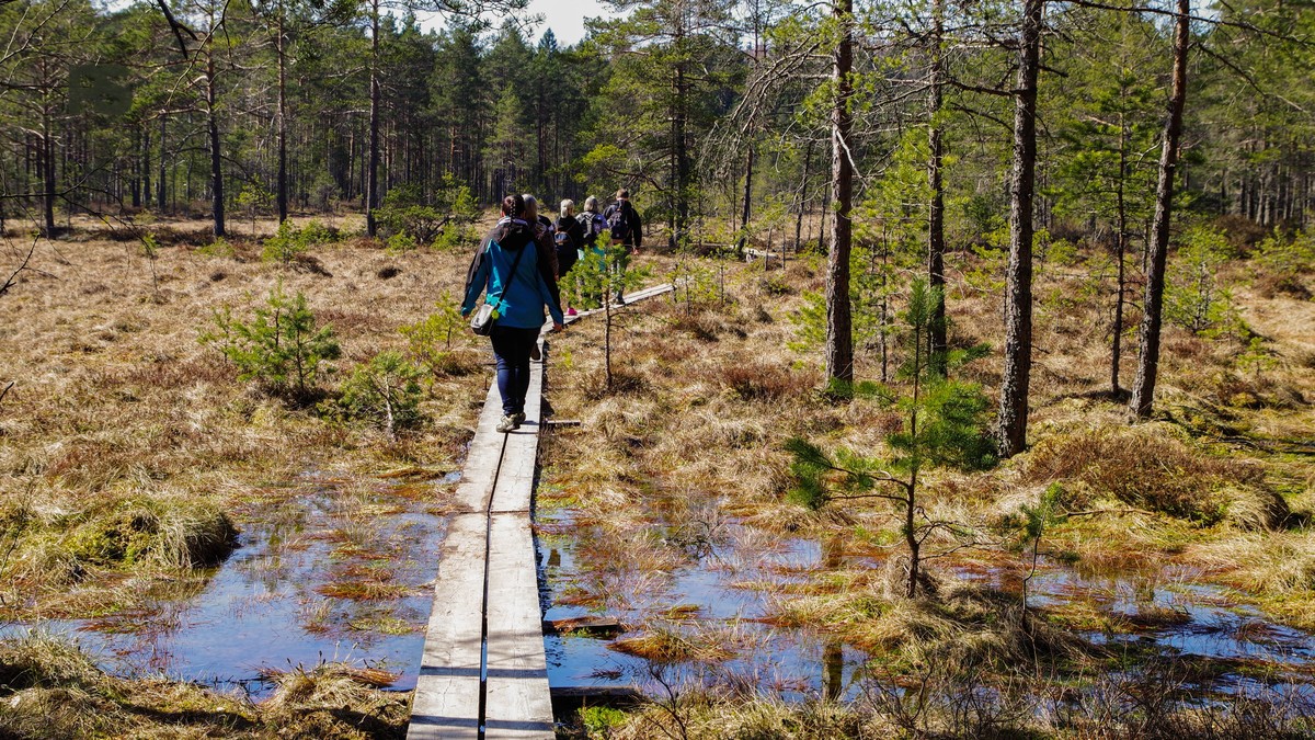 Can You Use Walking Poles on a Kenya Safari? - photo 1