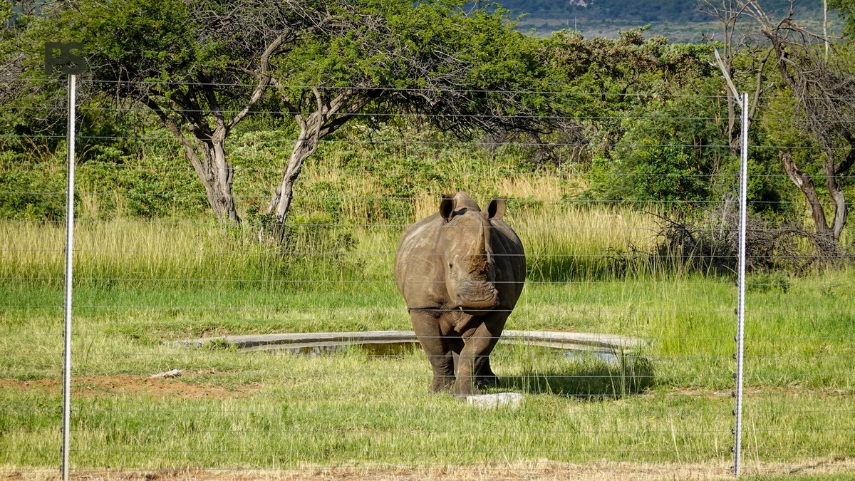 Conservancy Fees vs National Park Fees: 2026 Guide - photo 2