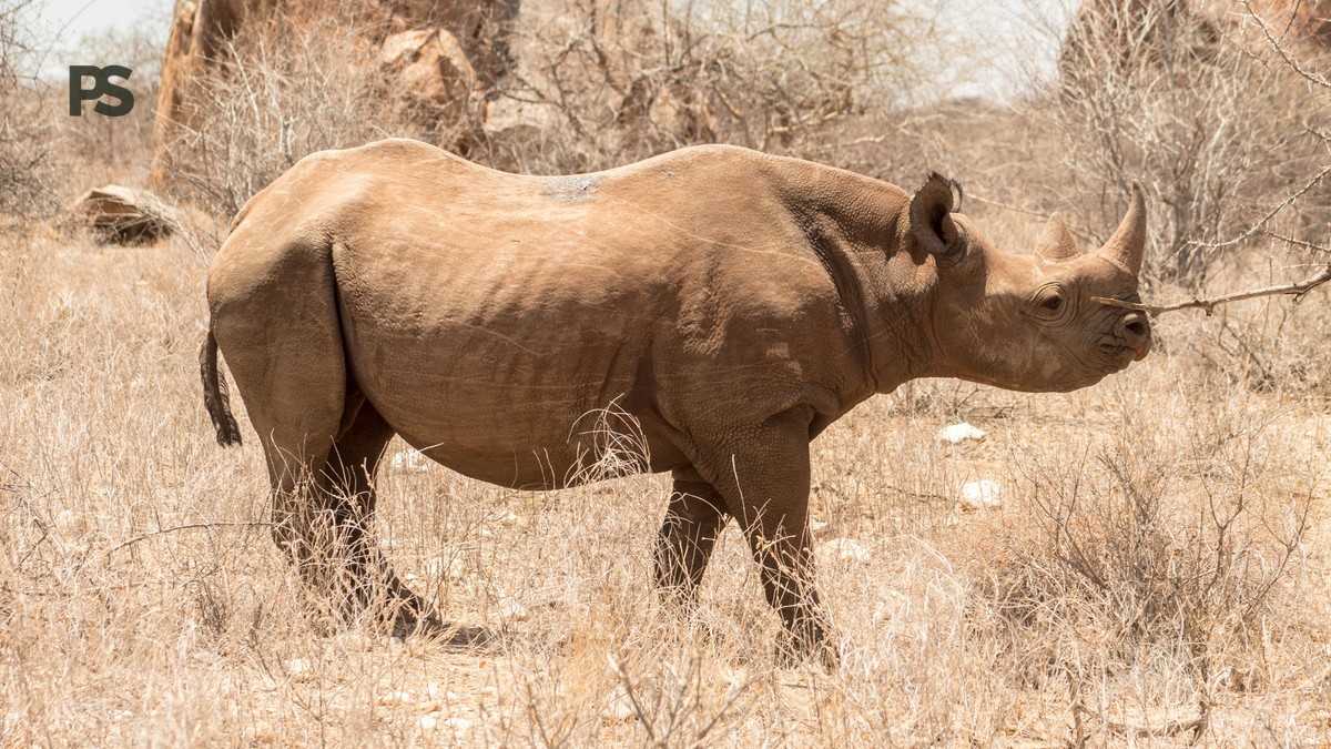 Conservancy vs Reserve Accommodation Difference Explained