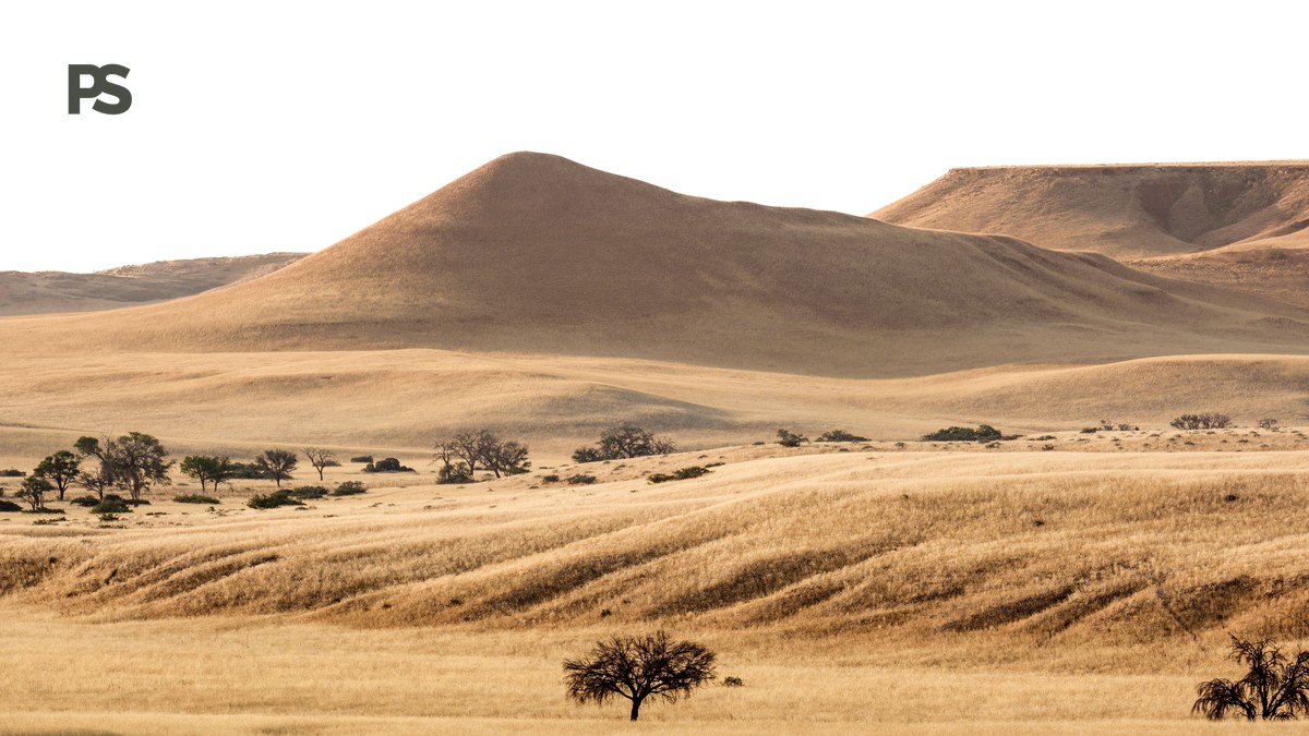Conservancy vs Reserve Accommodation Difference Explained - photo 1
