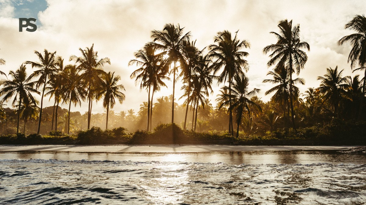 Diani Kisite Mpunguti Marine Safari: $100 Day Plan - photo 2