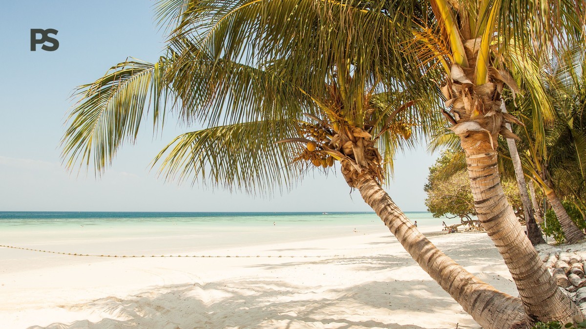 Diani vs Zanzibar Beach Extension Chinese Speakers: 怎么选
