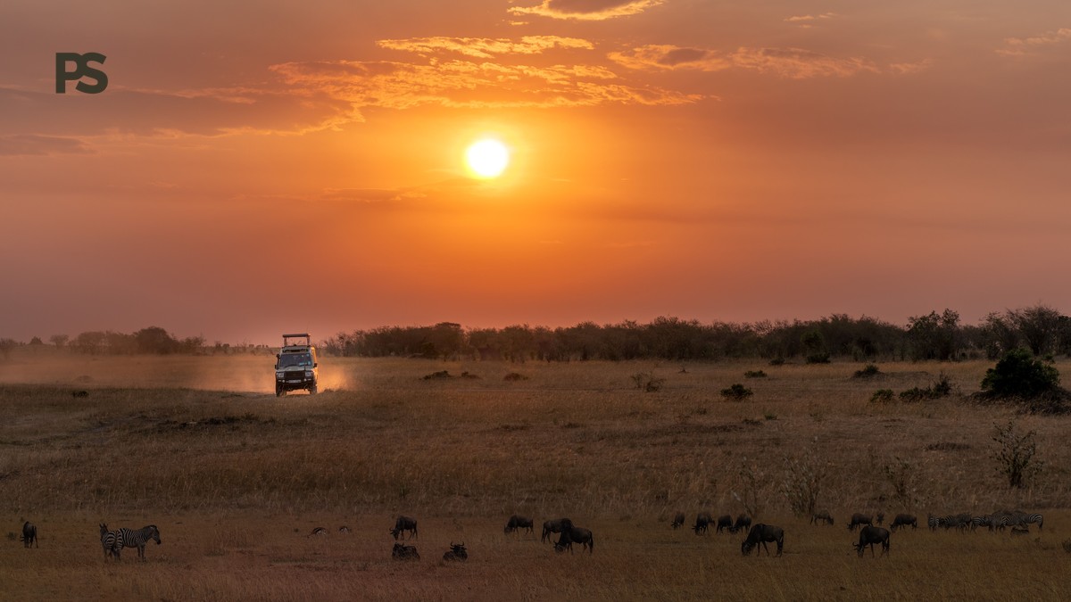 Do Kenya Safari Guides Speak English, French, German? - photo 1