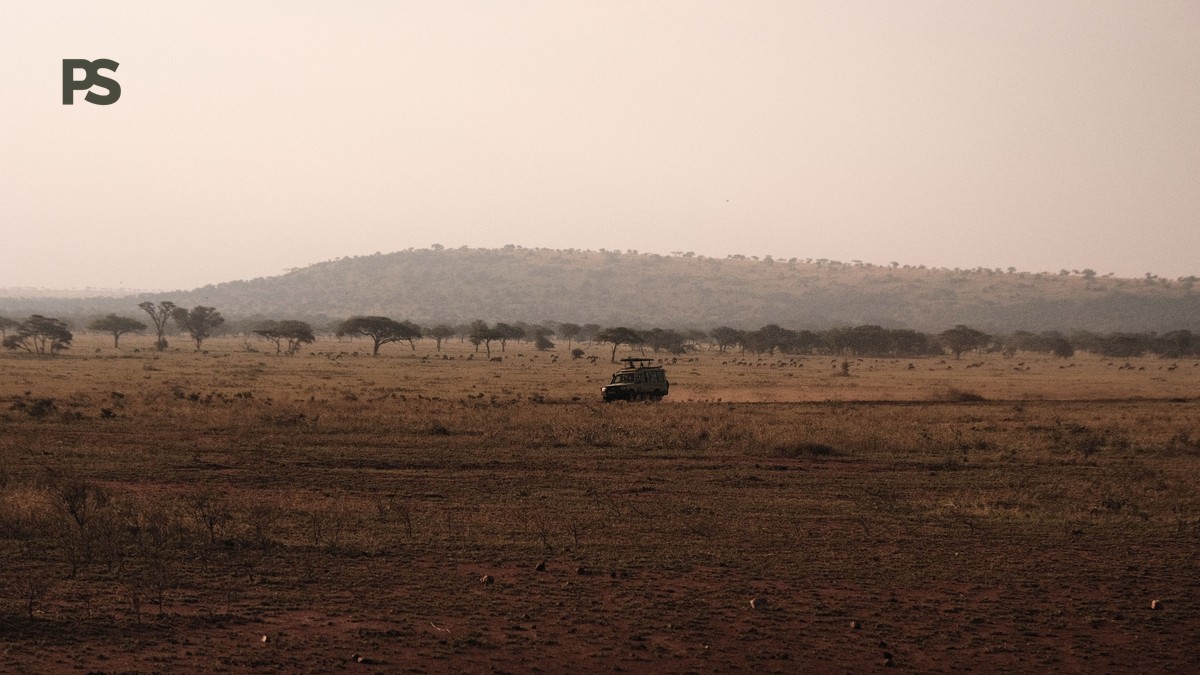 Do Kenya Safari Guides Speak English, French, German? - photo 2