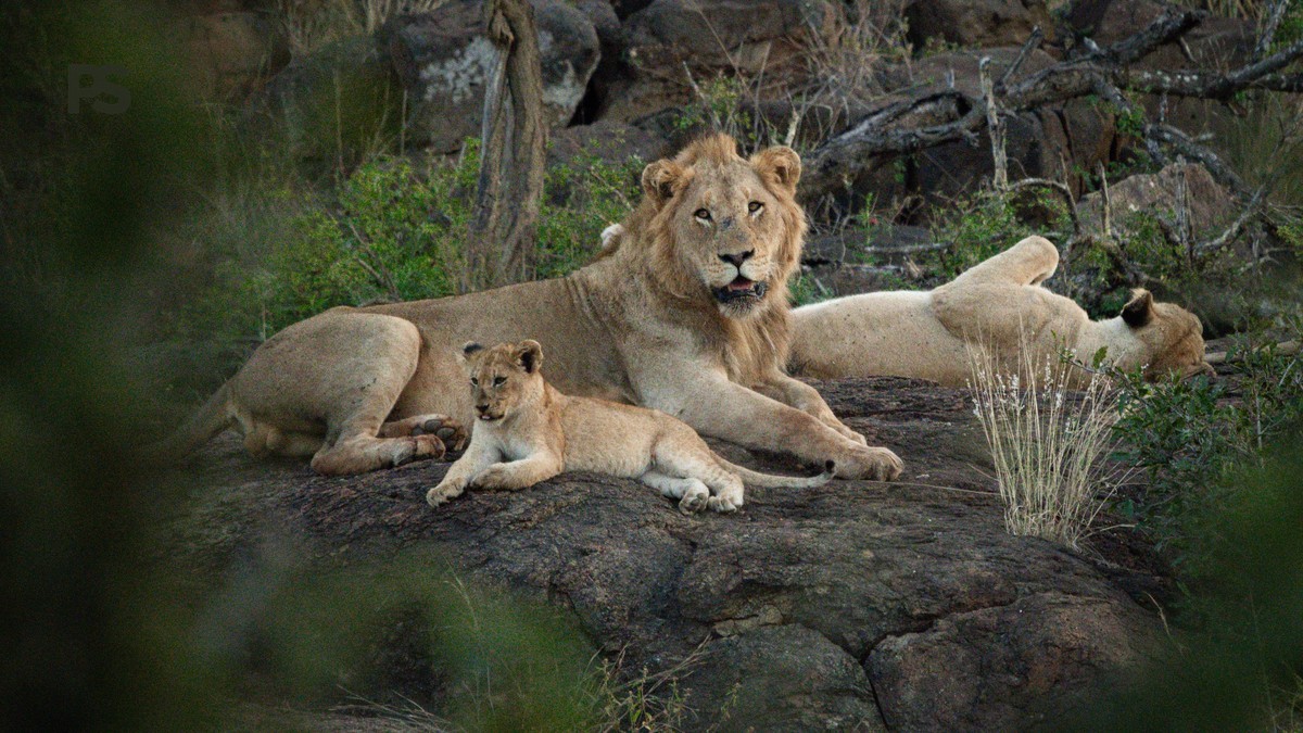 Family Friendly Diani Resorts Portuguese Speakers