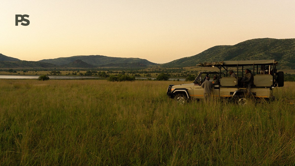 Family Safari Kenya Dutch Speakers: The Complete Guide
