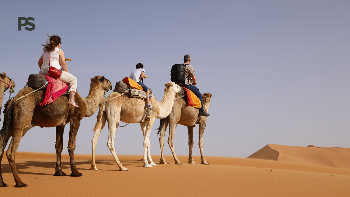 Family Safari Kenya Punjabi Speakers: Complete Planning Guide - photo 2