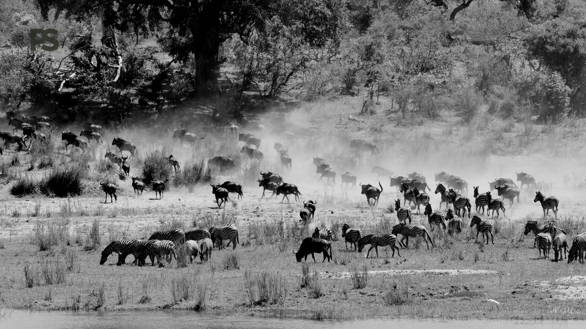 How Long Is the Drive to the Masai Mara? Real Times - photo 1