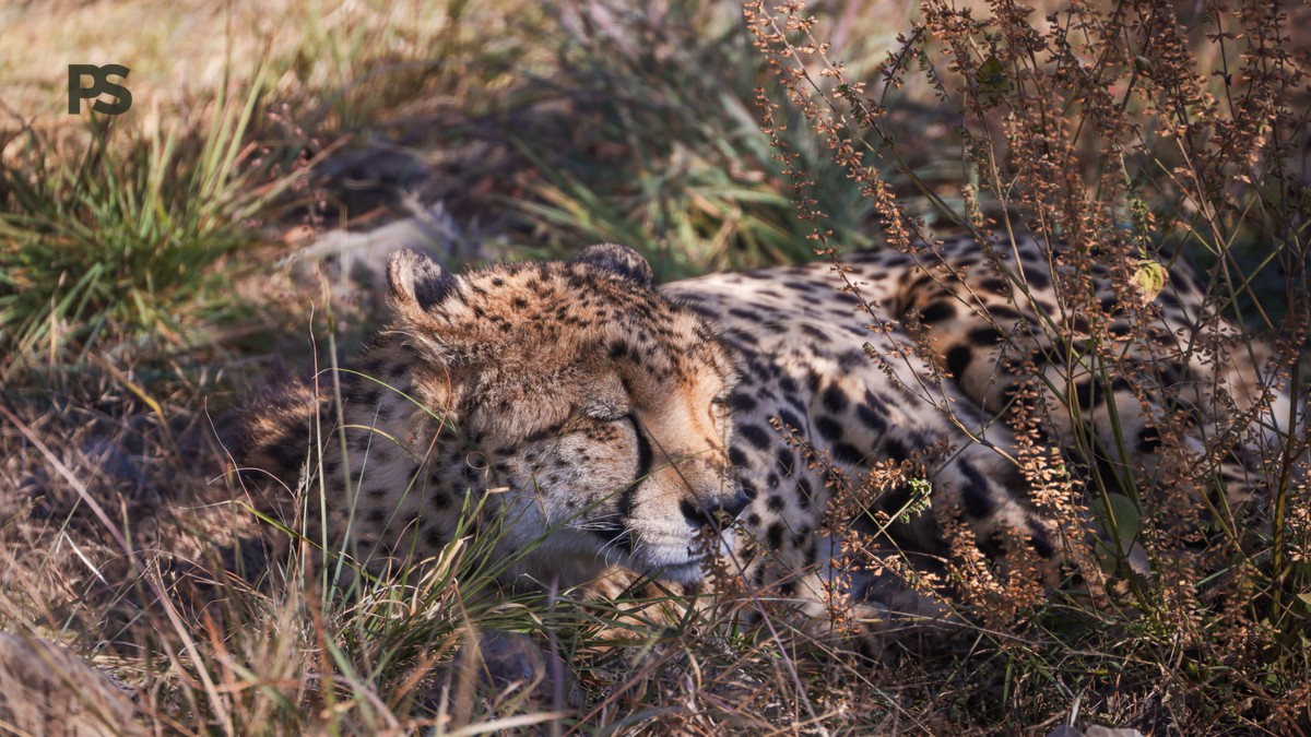 How Long Is the Drive to the Masai Mara? Real Times - photo 2