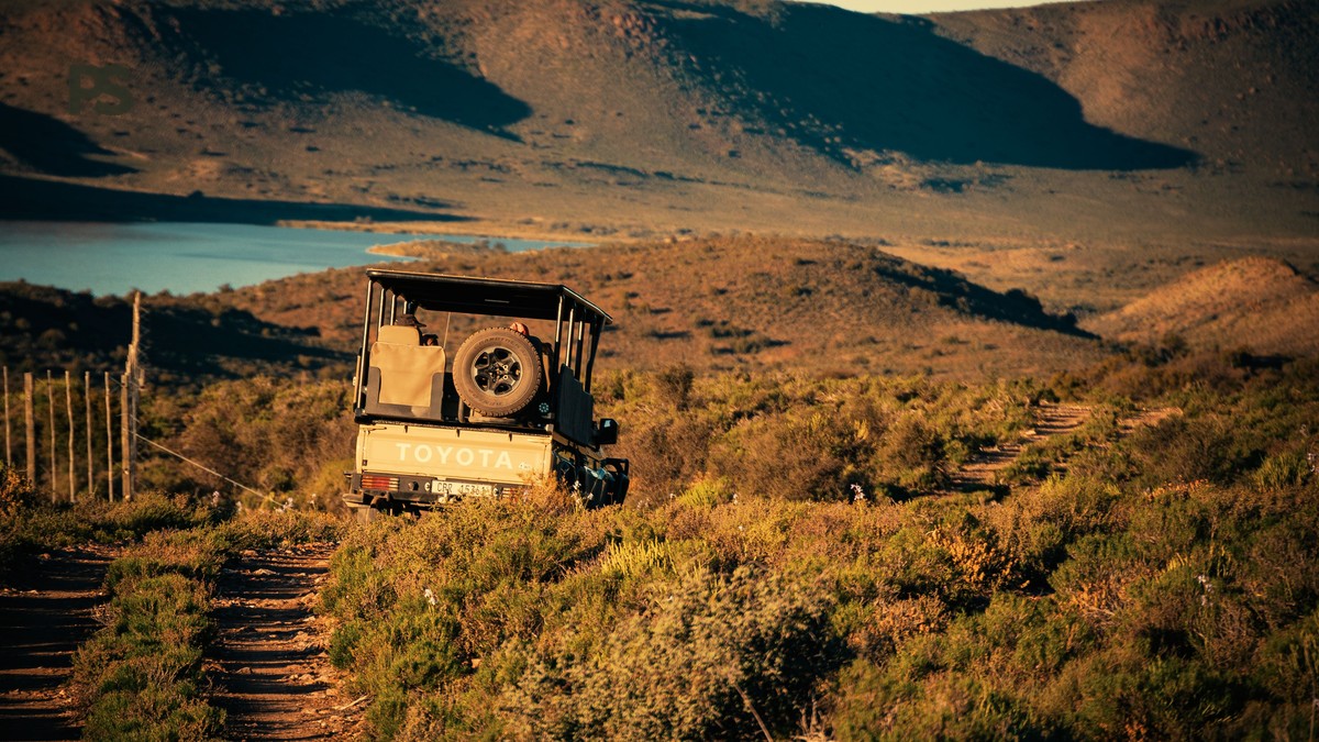 How Many Days Do You Need for a Photography Safari? - photo 1
