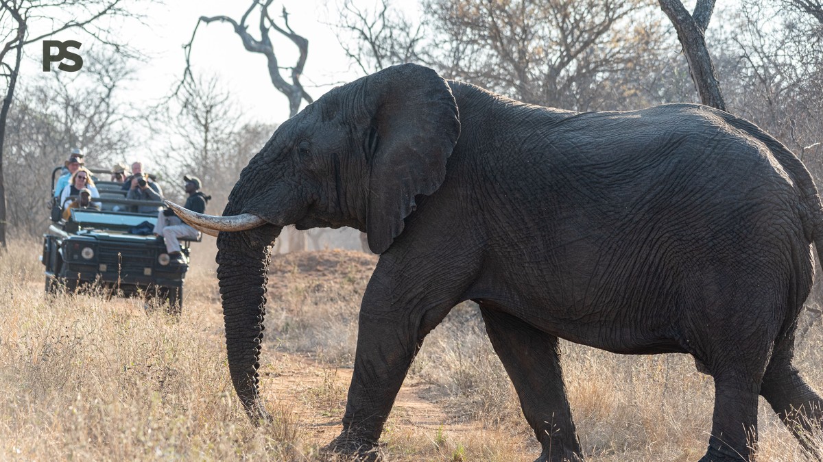 Is a Safari Safe During Thunderstorms? Kenya Guide - photo 2