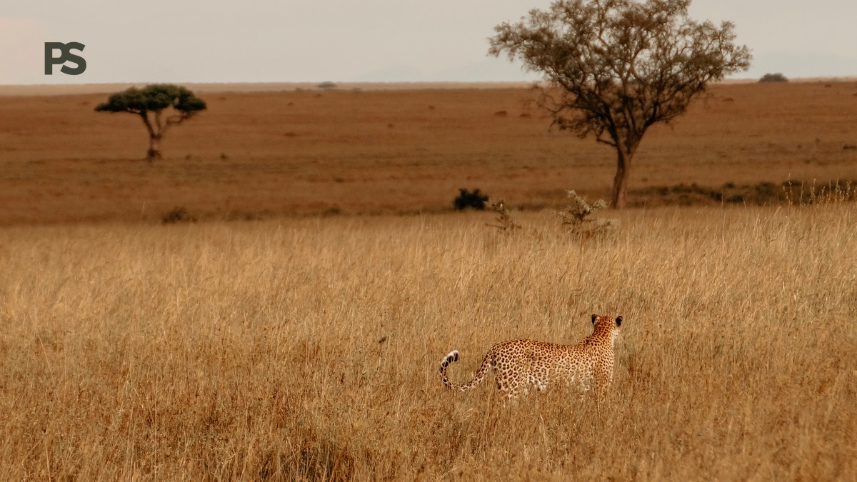 Kenya, Can I Request Female Guide Options? Book One Early - photo 1