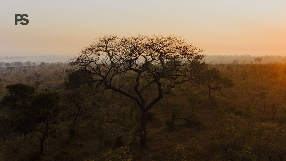 Kenya Park, Reserve, Conservancy Difference Explained - photo 1