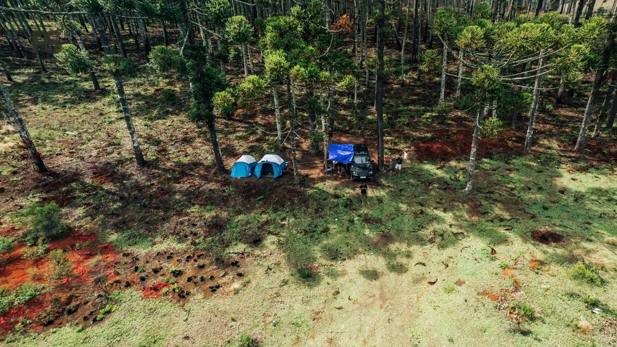 Kenya Safari Camp Gratuity Budget: $15-$35 Per Day -- Photo by Matheus Bertelli on Pexels