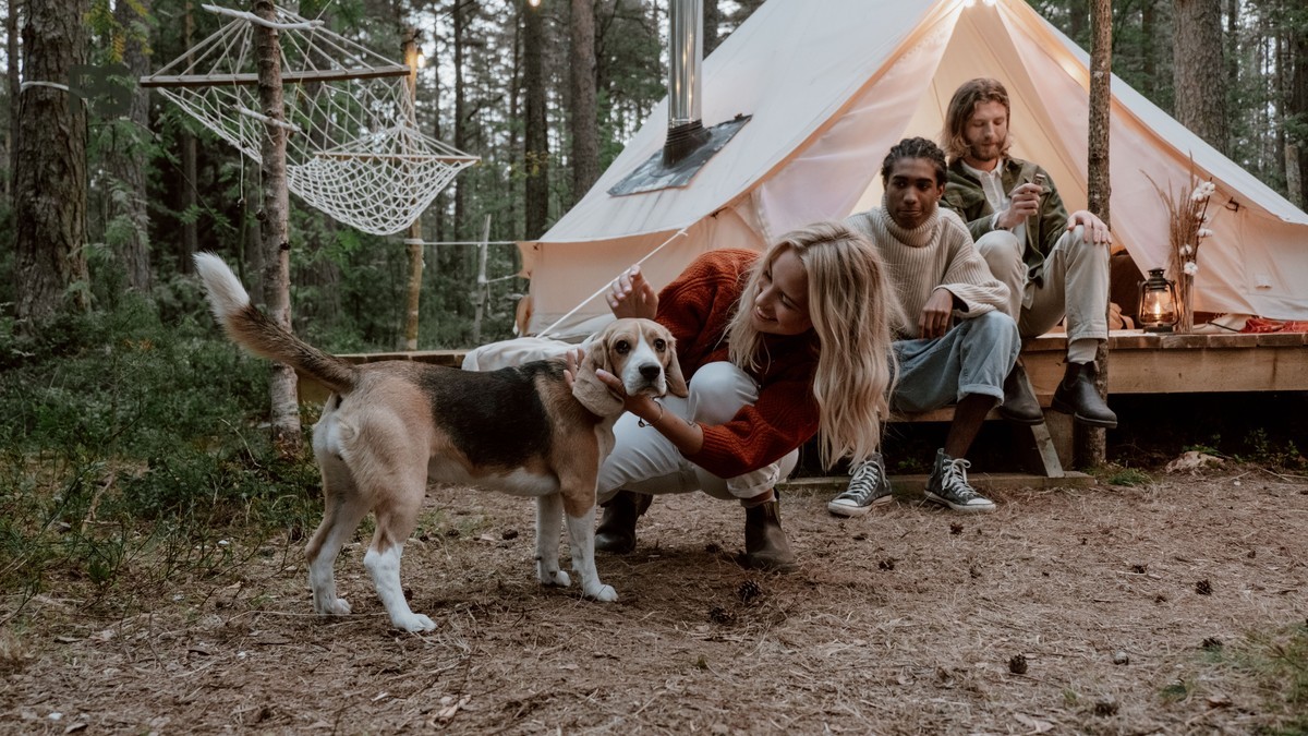 Kenya Safari Can Camps Handle Emergencies: Yes, Here's How -- Photo by cottonbro studio on Pexels
