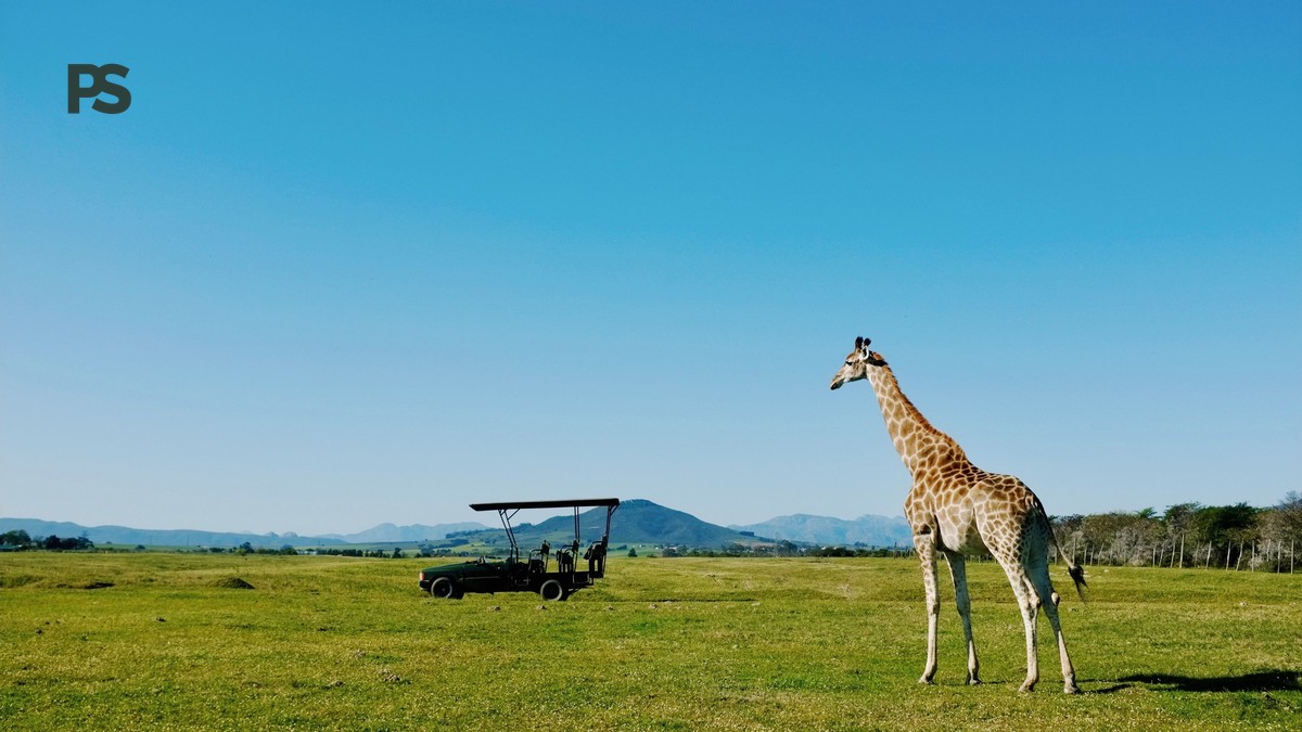 Kenya Safari Guide Chinese Speakers: Costs and Itinerary - photo 2