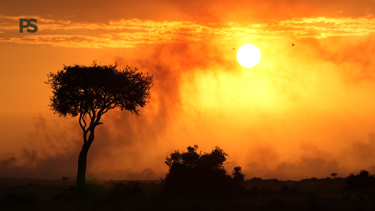Italian-Speaking Safari Guides in Kenya: Cost & Tips - photo 1