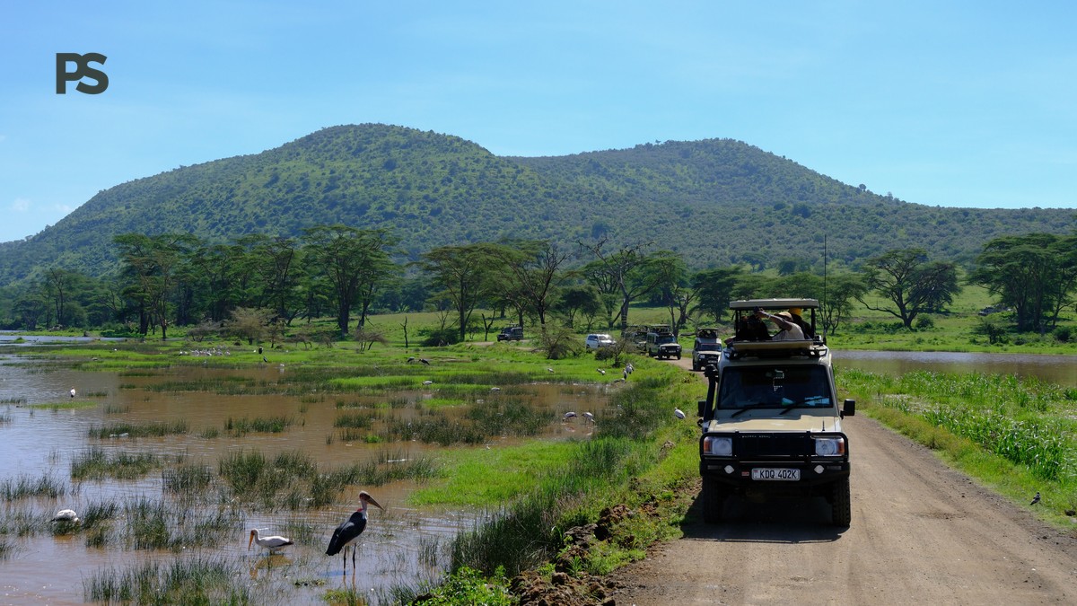Italian-Speaking Safari Guides in Kenya: Cost & Tips - photo 2