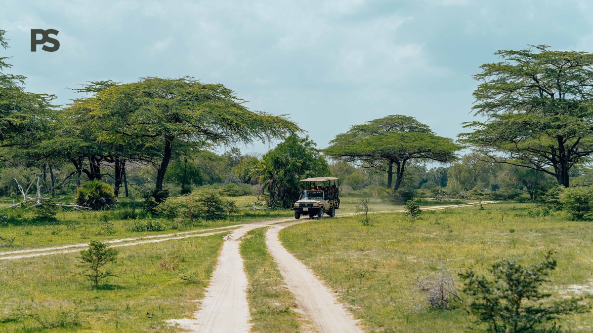 Kenya safari guide portuguese speakers: 5-Day Costs - photo 2