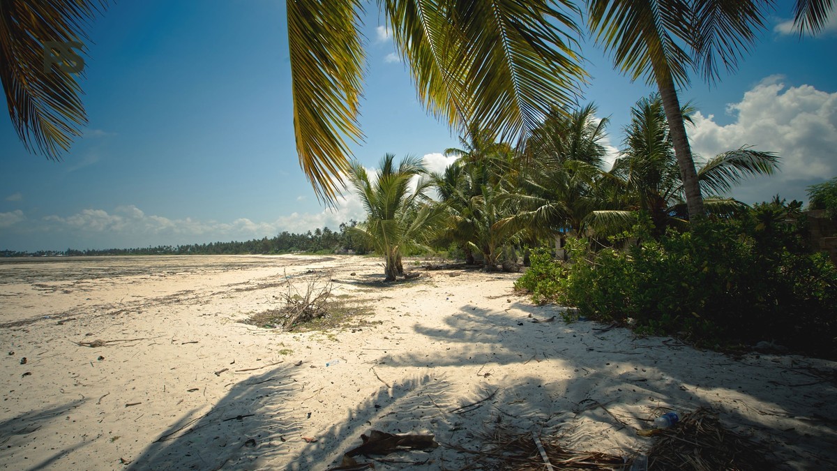 Kenya Safari Itinerary 14 Days: 7 Parks, 2 Beaches -- Photo by Denys Gromov on Pexels