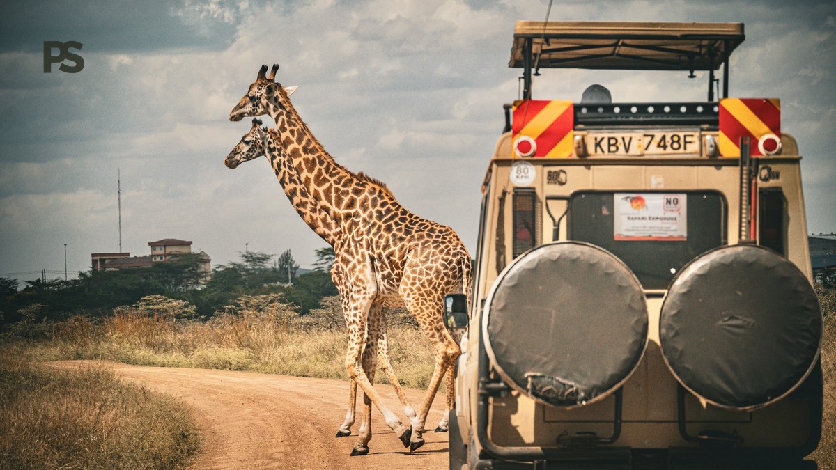 Kenya Safari Malaria Guide for French Speakers | Plain Safaris - photo 2