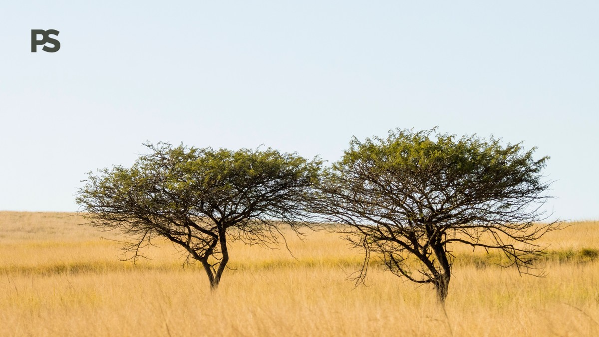 kenya safari packing guide portuguese speakers: 15kg list - photo 1