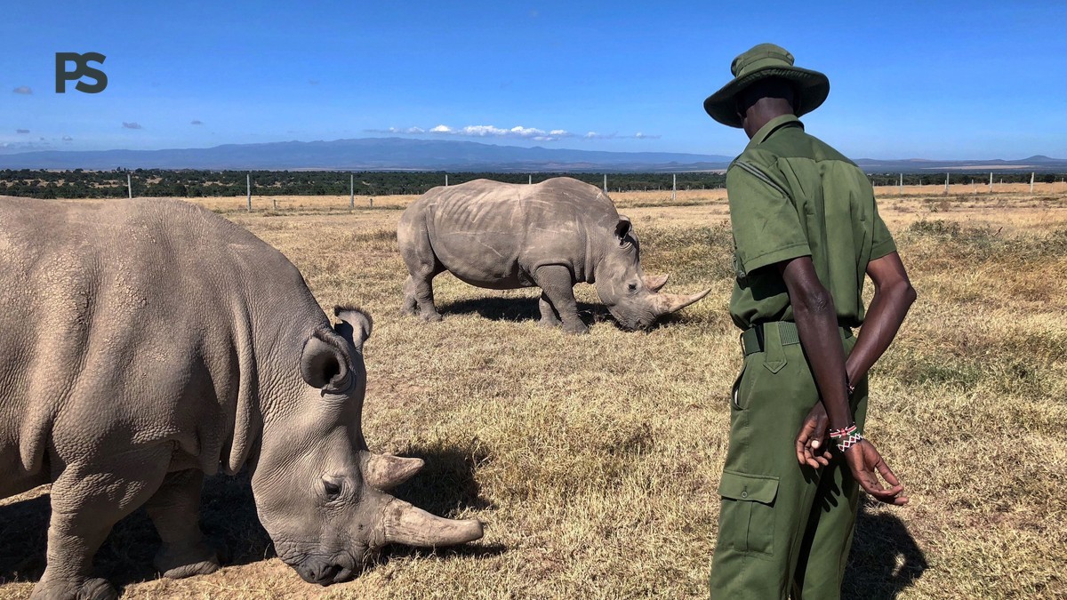 Laikipia Family Friendly Conservancy Guide for 2026