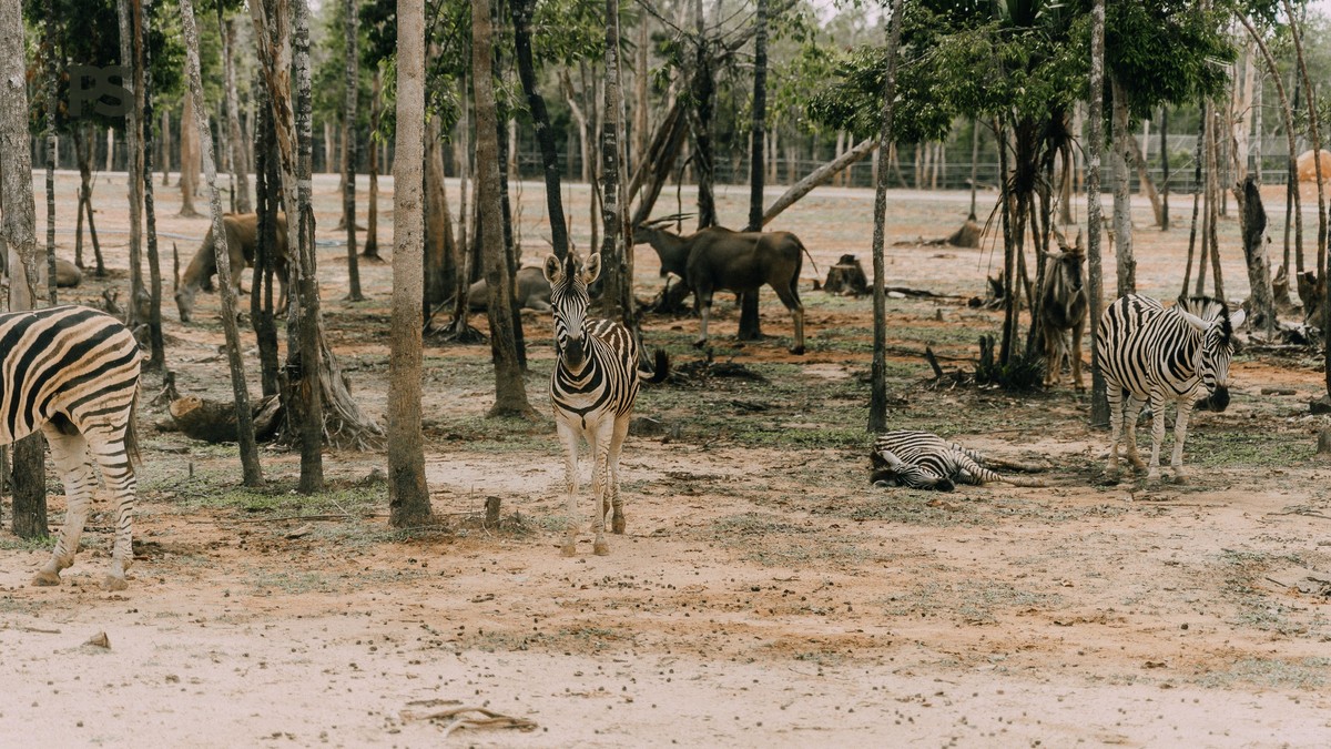 Laikipia Family Friendly Conservancy Guide for 2026 - photo 2