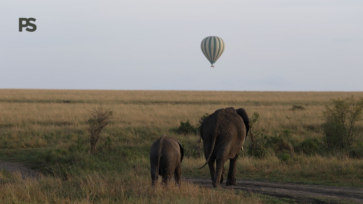 Laikipia Honeymoon Camel Walking Safari Guide