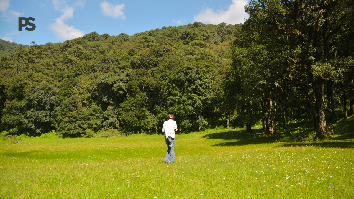 Laikipia Honeymoon Camel Walking Safari Guide - photo 2