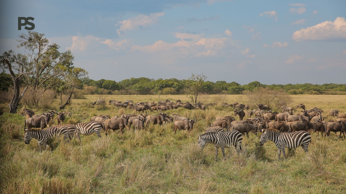 Mount Kenya vs Aberdare Comparison: Full Guide