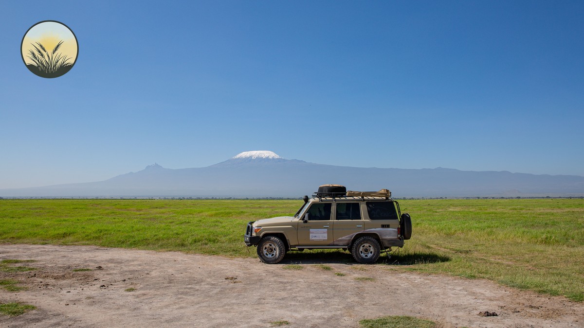 Night Game Drive Photography Kenya: Where It's Allowed - photo 1