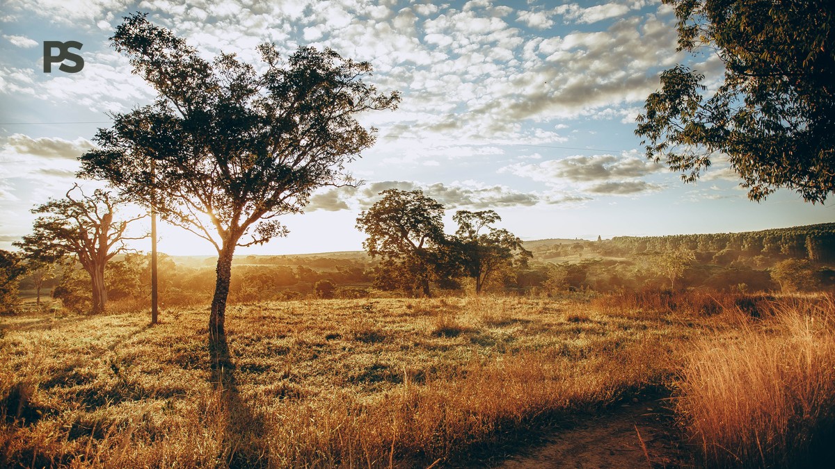 Plain Safaris Kenya Safari FAQ for Portuguese Travelers - photo 1