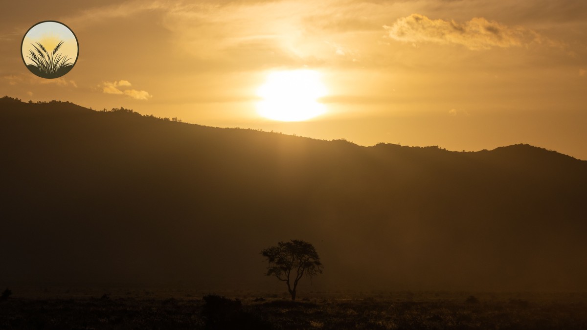 Pregnant Safari Travel Kenya Guide: Full 2026 Tips - photo 1