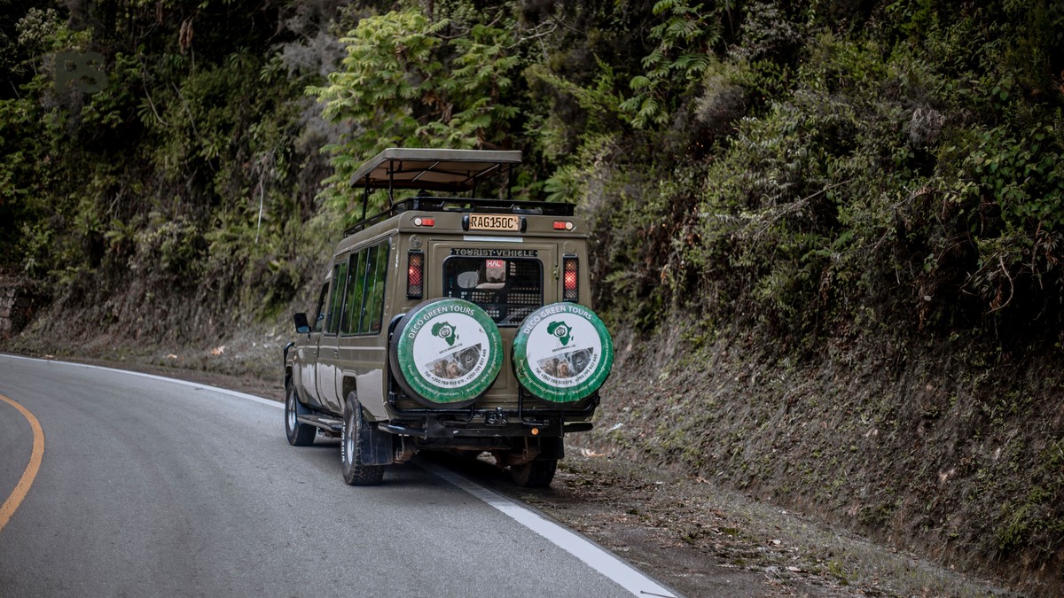 Private Photography Vehicle Hire Cost Kenya Spanish Speakers - photo 1