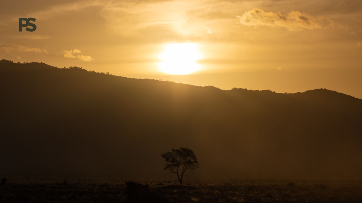 How Private Is a Private Safari: 7 Real Benefits - photo 1