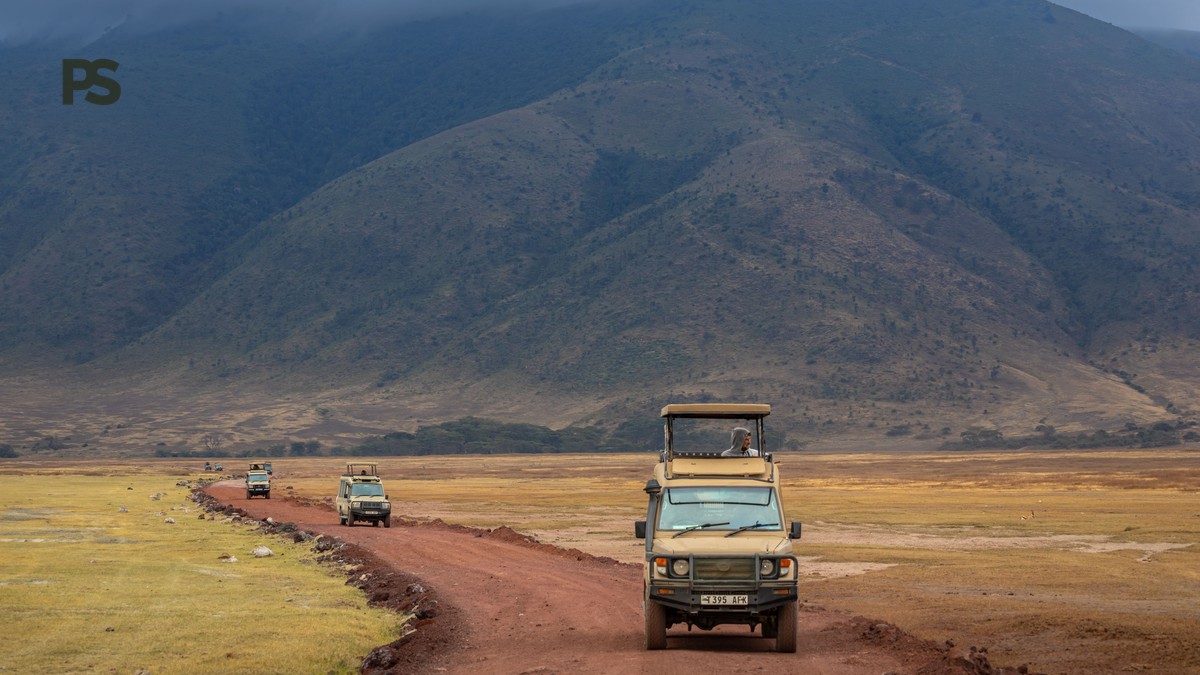 How Private Is a Private Safari: 7 Real Benefits - photo 2